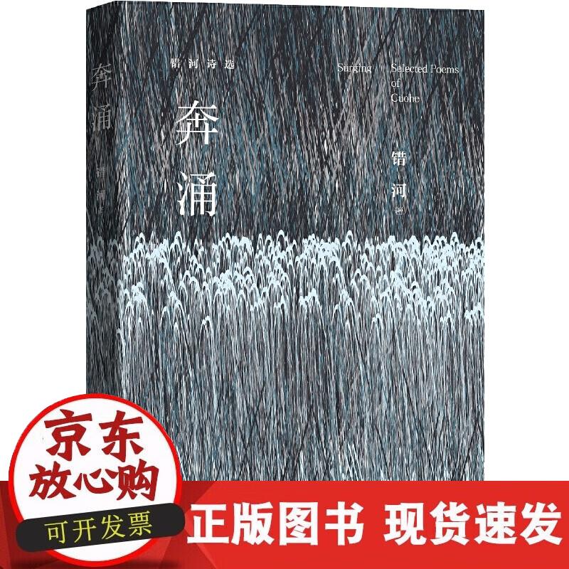 【正版现货】奔涌——错河诗选