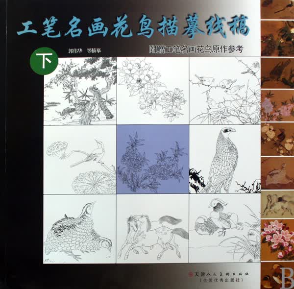 工笔名画花鸟描摹线稿(下)