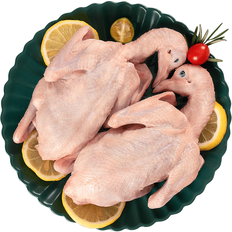 溫潤食品乳鴿凈重520g（260g*2只）生鮮生態(tài)慢養(yǎng)乳鴿鴿子湯孕婦月子煲湯