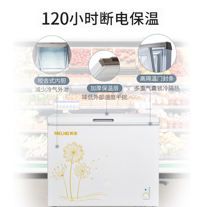 美菱MELING208升家用商用冰柜盐汽水有几箱可以放？