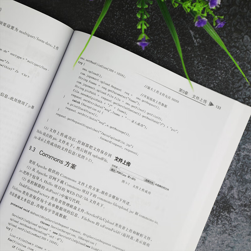 Java Web应用开发技术(Java EE 8 +Tomcat 9)（计算机科学与技术丛书）