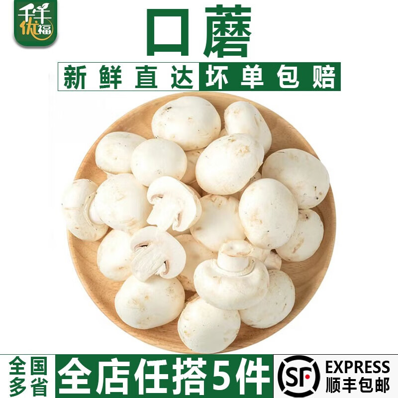 千牛优福新鲜白蘑菇500g 口蘑食用菌菇口菇 双孢菇煲汤蔬菜 500g