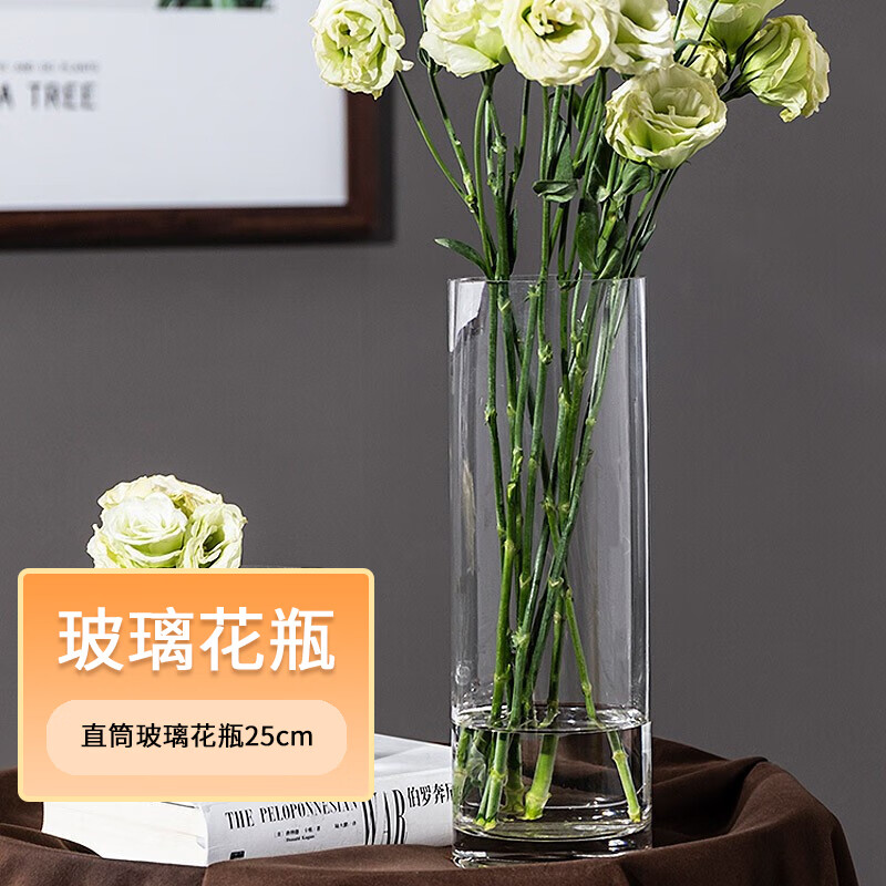 盛世泰堡玻璃花瓶透明植物插花瓶水培容器大花瓶客厅摆件直筒款