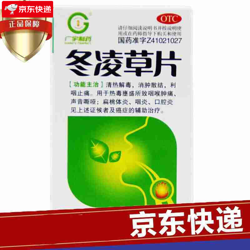 广宇制药 冬凌草片0.