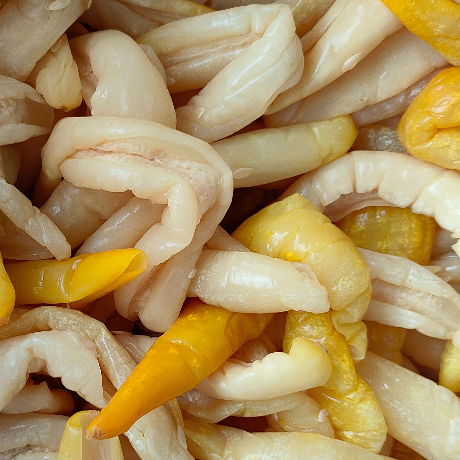 黃瓜皮廣西特產(chǎn)黃瓜皮博白黃瓜皮新鮮腌制黃瓜皮下飯菜咸菜開胃菜 偏咸瓜皮1斤