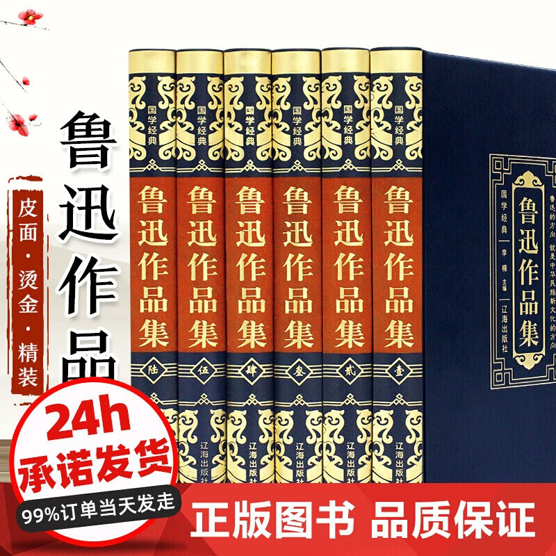 鲁迅经典全集6册正版小说散文杂文精选孔乙己野草故乡呐喊彷徨