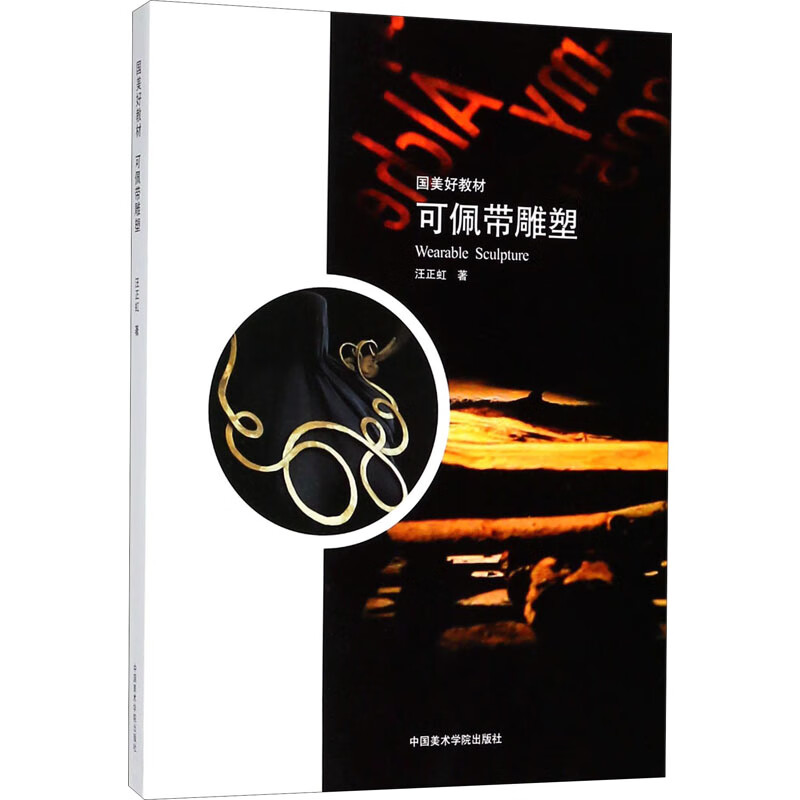 可佩带雕塑 汪正虹 书籍