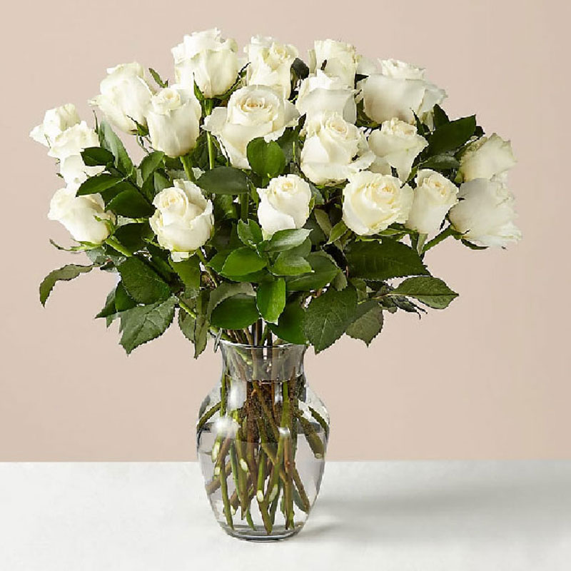 花情万种鲜花玫瑰花束鲜切花水养家用插花艺每周一花全国速递白玫瑰10