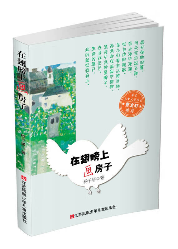 在翅膀上画房子