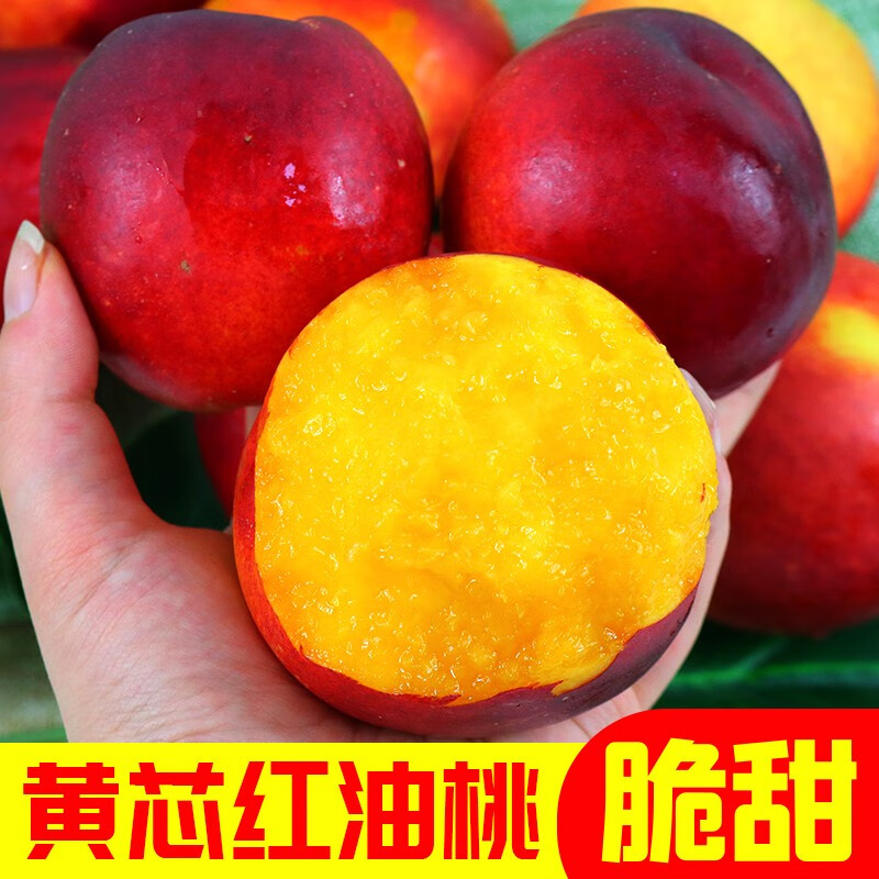 暖欣果(NUANXINGUO)头茬大连露天红油桃大果新鲜水果当季整箱黄心油桃孕妇香甜多汁 油桃小果2.8斤【4-5个/斤】