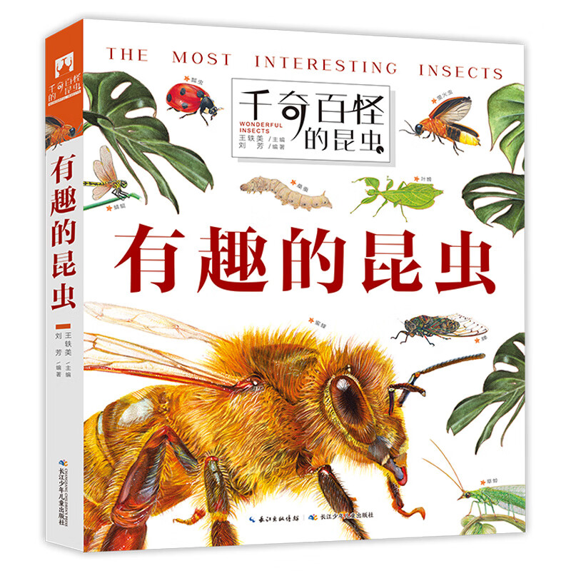 千奇百怪的昆虫：有趣的昆虫 孩子爱不释手的昆虫翻翻书 