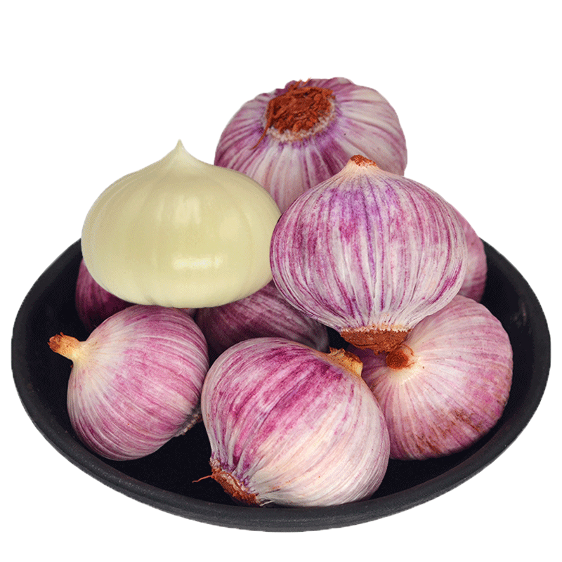 橘脆云南洱源独头大蒜 1.5kg 中蒜2.5-3cm1斤约40个