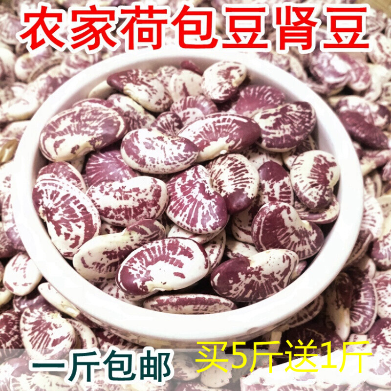 云南农家荷包豆状元豆大肾豆500g豆类杂粮花芸豆花豆