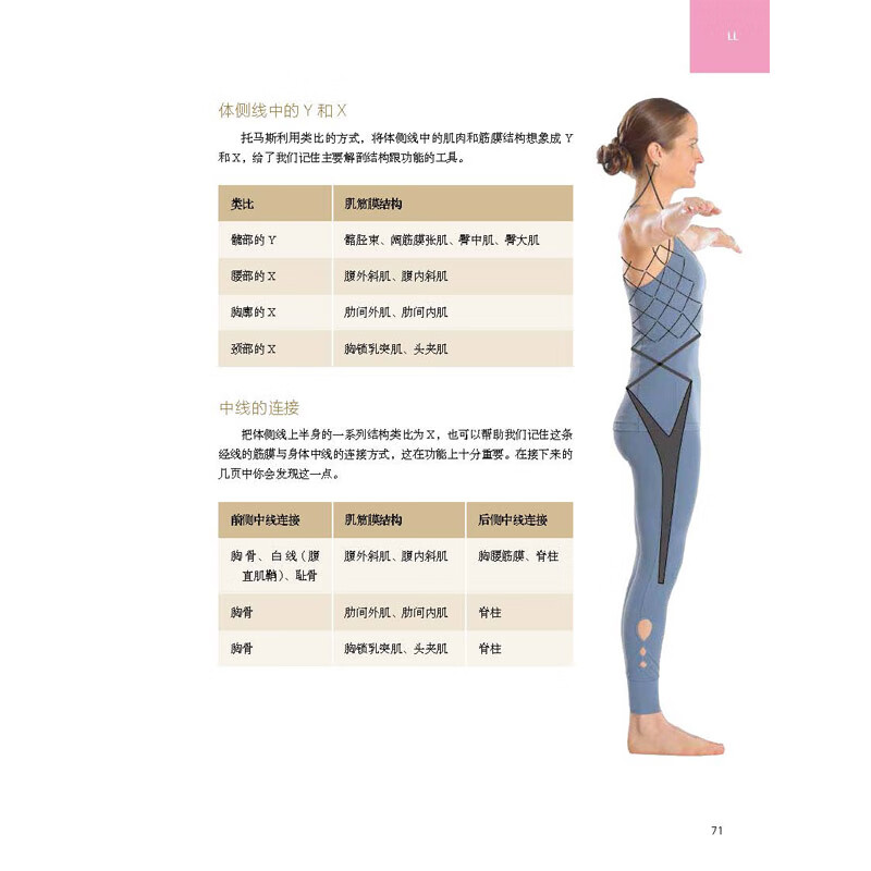 运动中的解剖列车 : 肌筋膜经线身体地图的运动和觉察探索 北京科学技术
