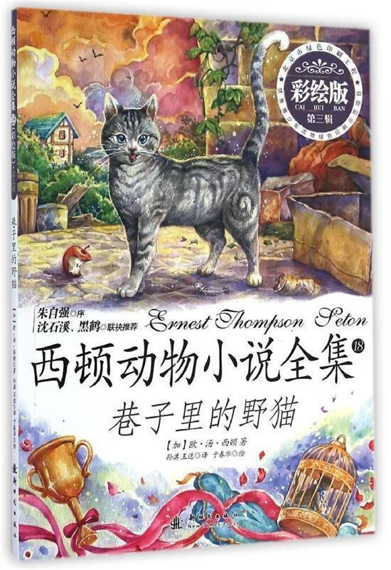 巷子里的野猫:彩绘拼音版 孙淇【正版】