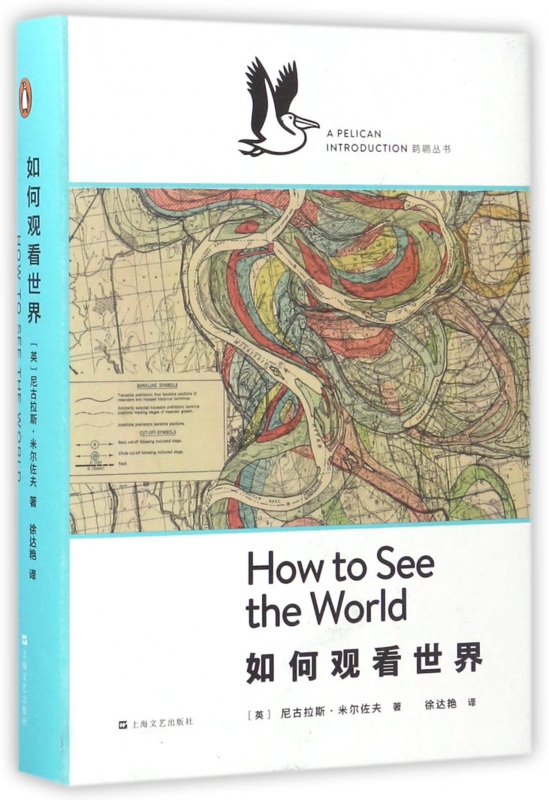 如何观看世界(精)/鹈鹕丛书