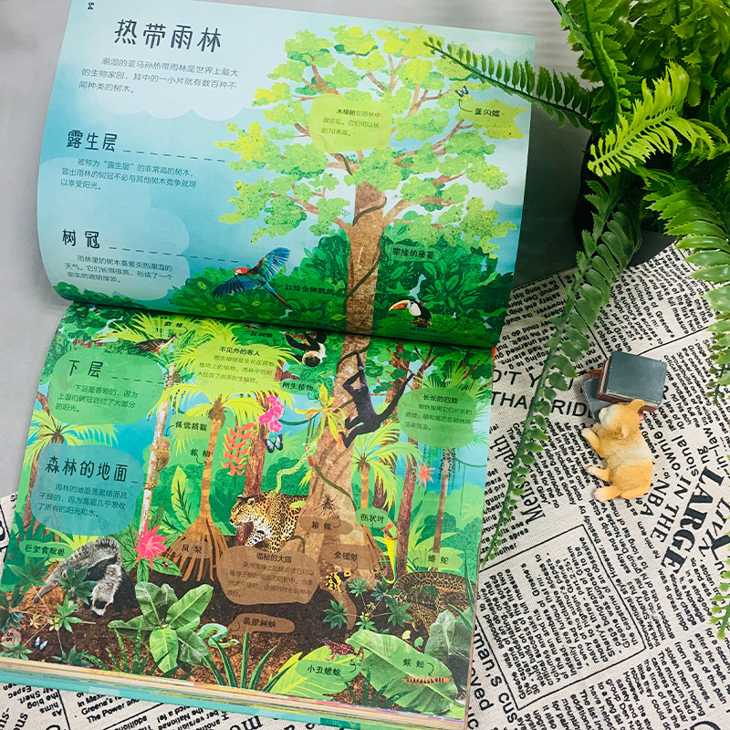 DK神秘的树百科详情图