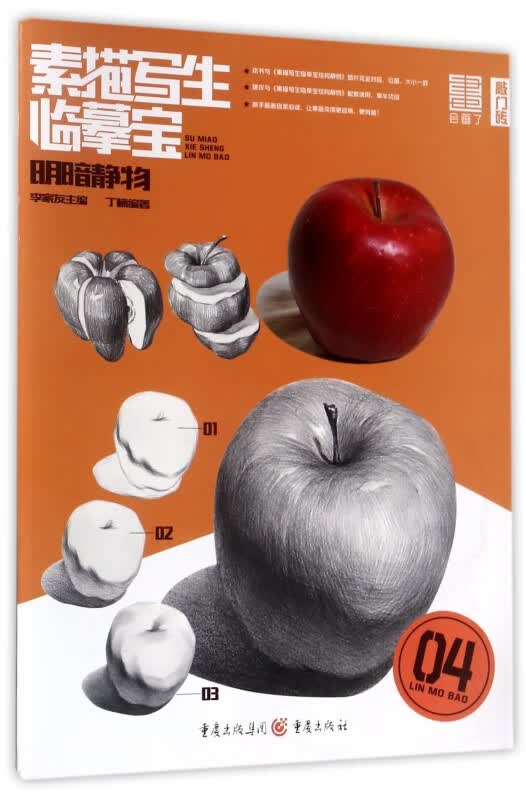明暗静物/素描写生临摹宝