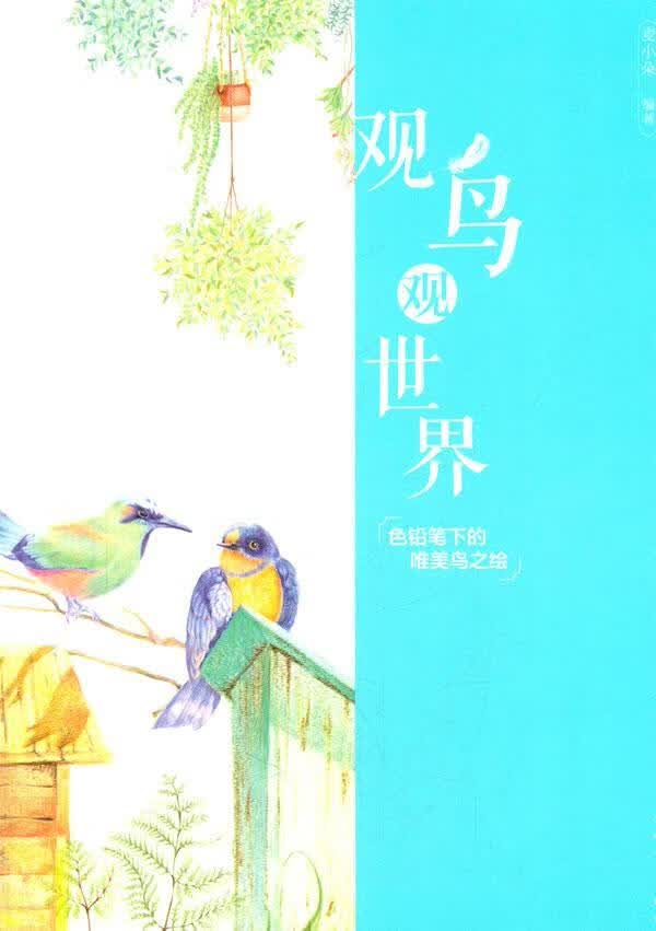 观鸟观-色铅笔下的唯美鸟之绘/麦小朵/绘画/9787515324708