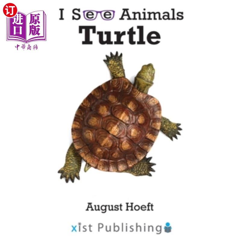 海外直订turtle 乌龟