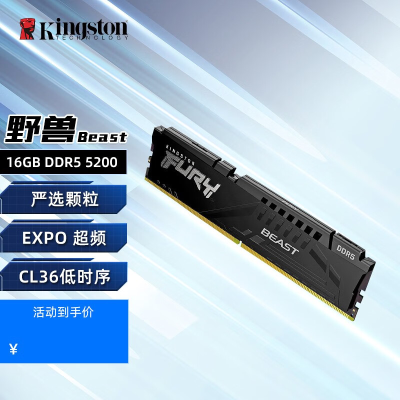 金士顿 (Kingston) FURY DDR5 台式机内存条 骇客神条 野兽Beast系列 野兽16G 5200 【EXPO超频款】