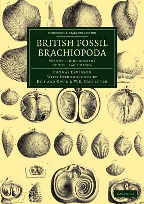 预订British Fossil Brachiopoda