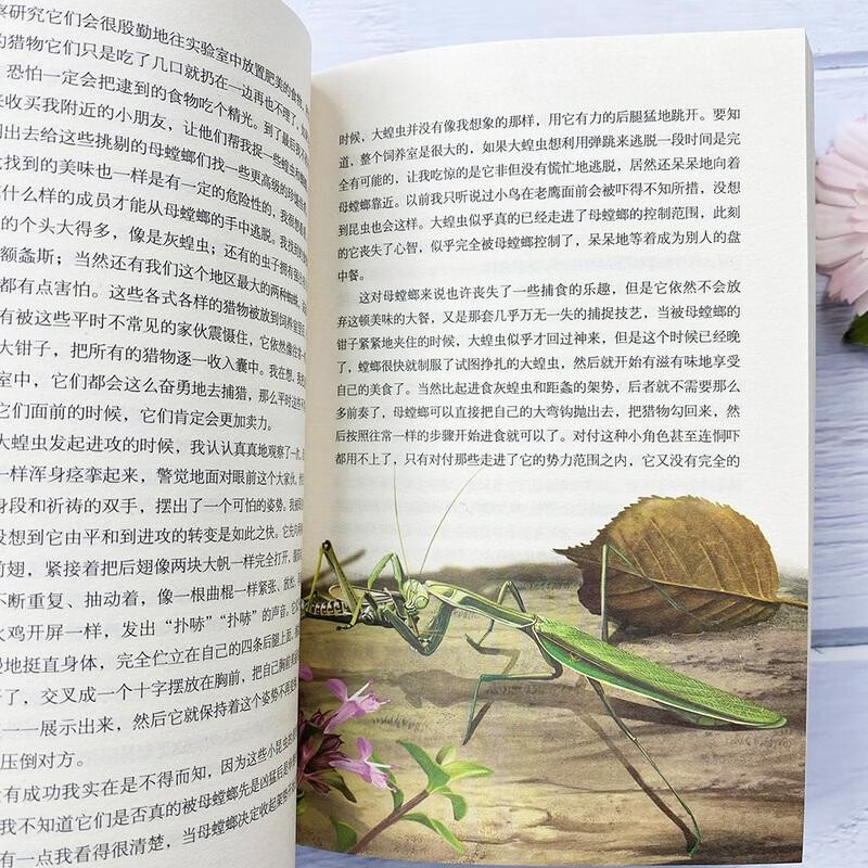 昆虫记 昆虫种类特征习性的昆虫学科普读物 青少年中小学生课外读物详情图