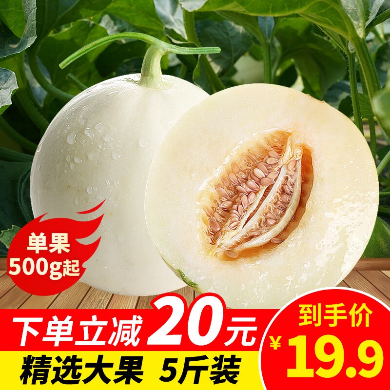 【优质头茬甜瓜】妙宜果味 陕西阎良新鲜甜瓜香瓜蜜瓜小籽瓜新鲜水果生鲜白皮小香瓜脆甜 5斤超值装【优质大甜瓜】(单瓜400g起）