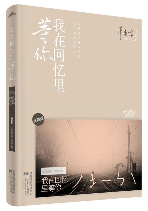 我在回忆里等你 典藏版