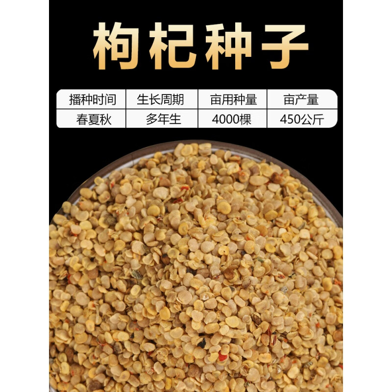 宁夏红枸杞叶种籽子四季南北方种植菜种另有枸杞树苗