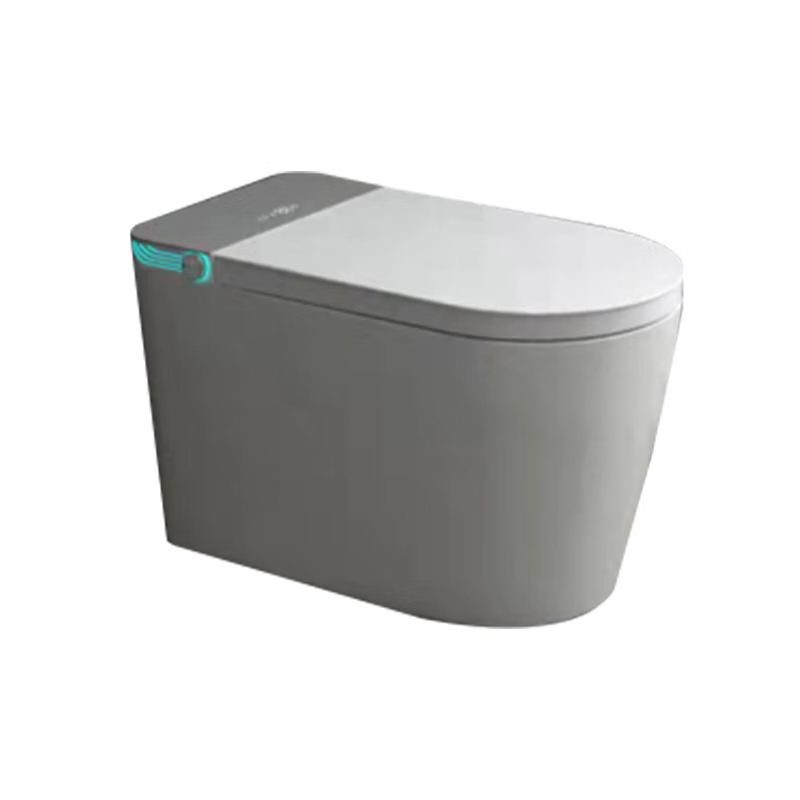 伯爵鸟 伯爵鸟智能马桶 f21bw 防臭节水 智能冲洗家用坐便器