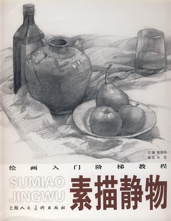 素描静物 绘画入门阶梯教程