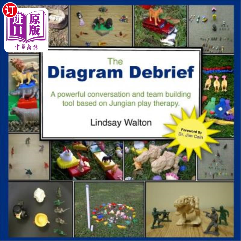 海外直订the diagram debrief 图表汇报