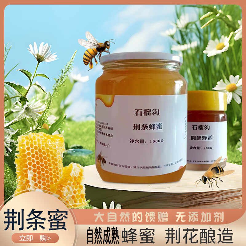 野生荊條花蜂蜜天然蜂蜜正宗深山4斤原裝農(nóng)家太行特產(chǎn)玻璃瓶無添 深山土蜂荊花蜜1瓶1000克