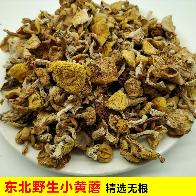 千畅安东北小黄蘑松树油蘑小黄蘑蘑菇干货小鸡炖蘑菇250ga