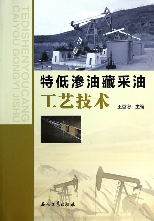 特低渗油藏采油工艺技术 王香增
