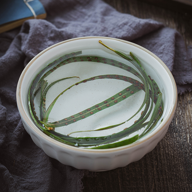 橙伯乐 长白山肾精草石韦茶化石草男性养生中材肾精茶 中材肾精茶