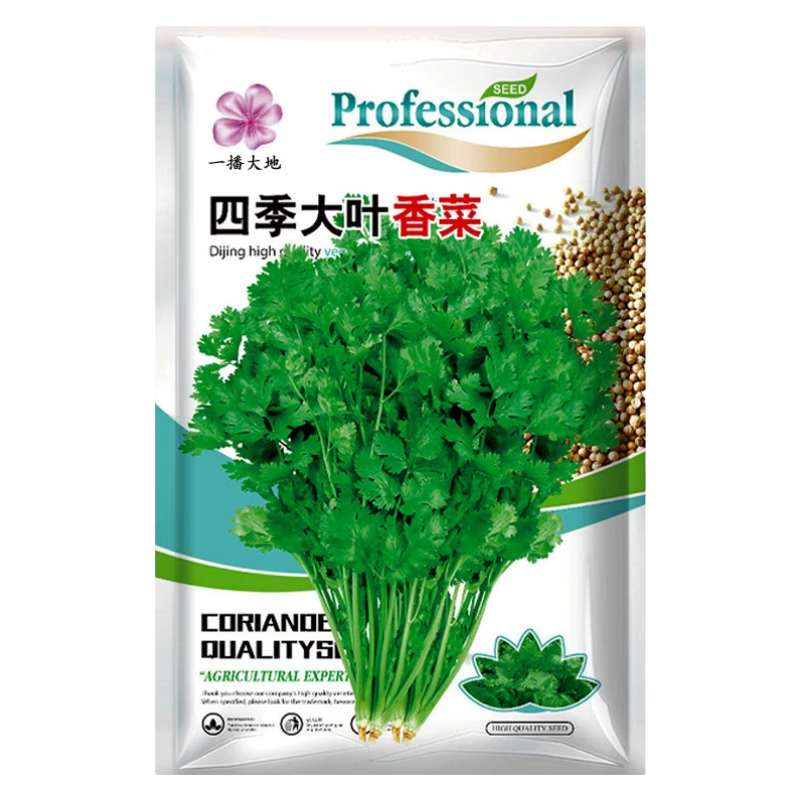 芫荽籽 蔬菜种子 阳台菜园种子盆栽种子高出芽率  香菜种子 原包装