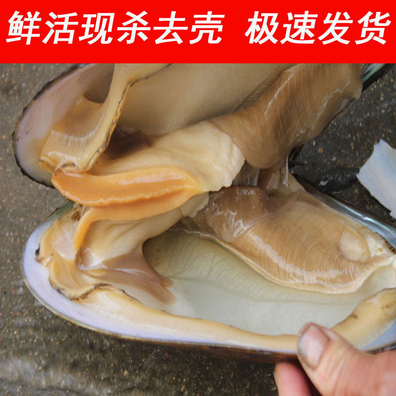 够印【淡水湖河蚌肉】河蚌河蚌新鲜活体现杀去壳蚌肉冷鲜净肉 二斤装