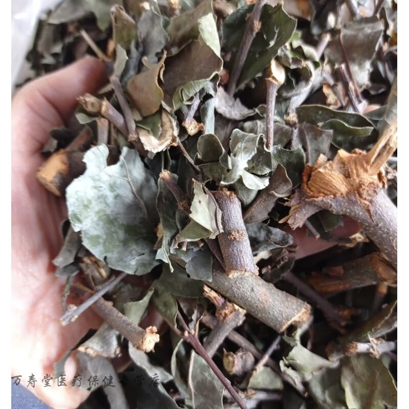 同仁堂 原料天然青草黄牛茶寄生 雀笼木寄生 黄芽树寄生 黄牛木寄生