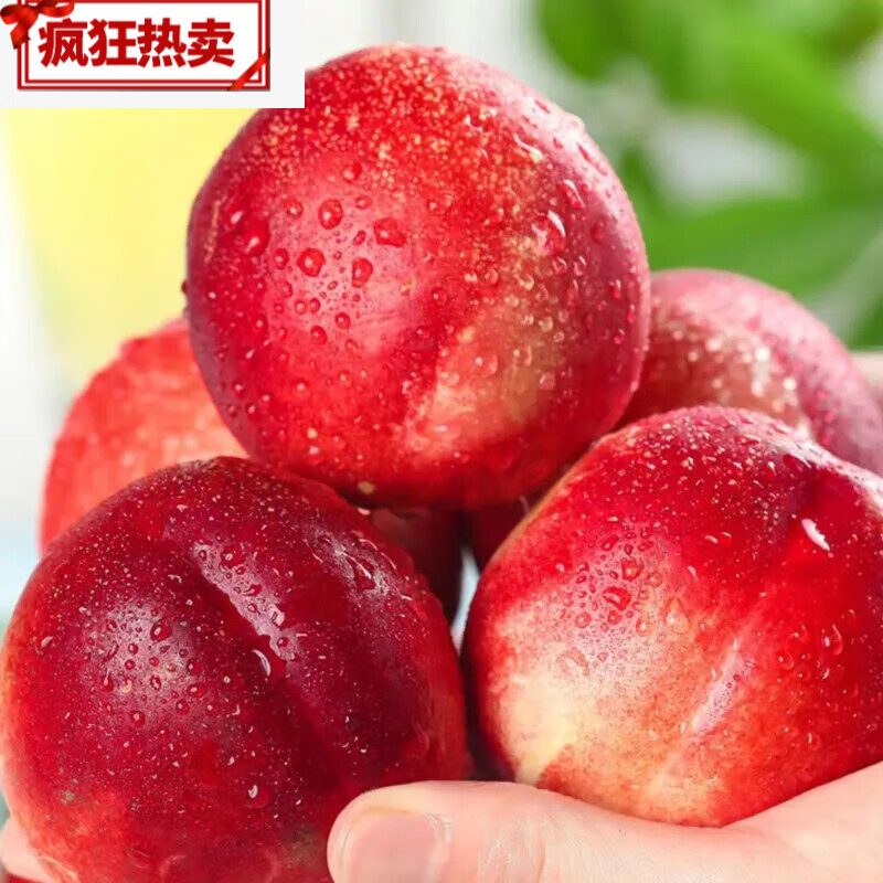 采缇(caiti)智利进口新鲜白肉油桃孕妇水果脆甜当季现摘桃子整箱 2斤