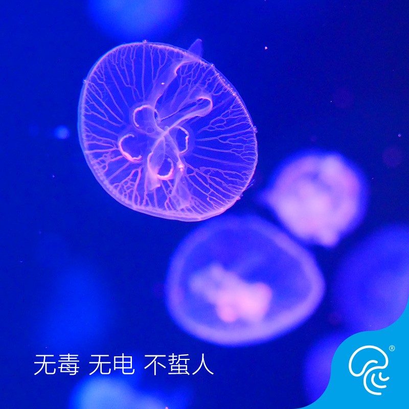 哪个App有水族活体价格曲线|水族活体价格走势图