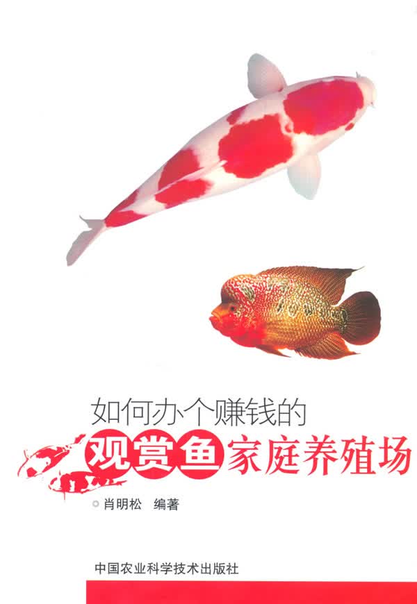 如何办个赚钱的观赏鱼家庭养殖场