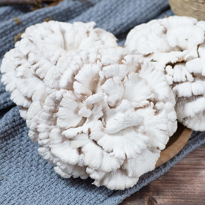 禾澹云南新鲜白参菌当季食用菌菌菇特产非干货新鲜蔬菜 家庭装500g