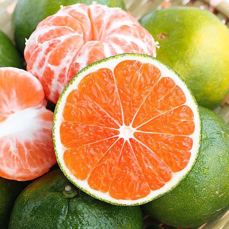 【JD快递】云南蜜橘水果新鲜桔子整箱应当季蜜橘子甜时令甜可口 5斤 中大果