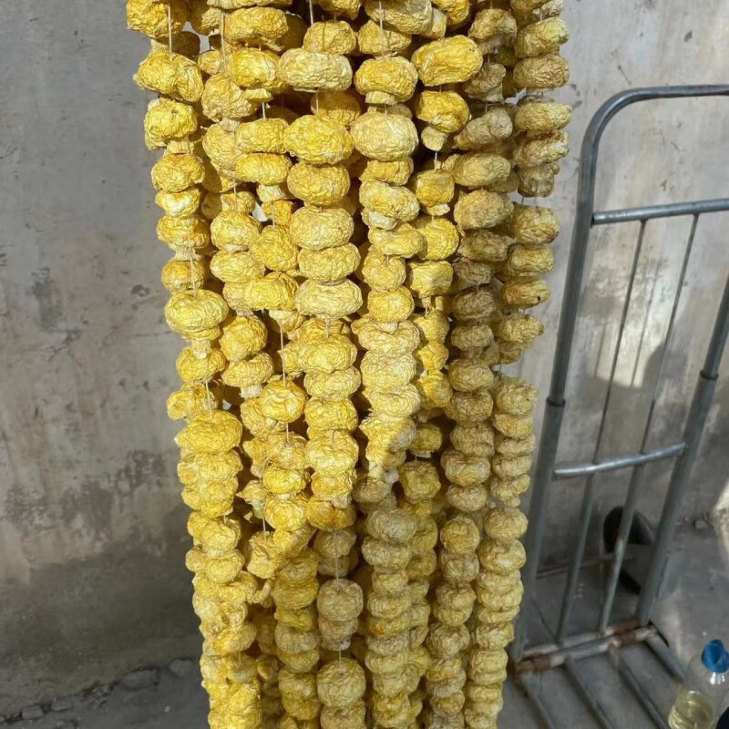 tlxt青海高原祁连山黄蘑菇钉子菇250g/500g年货礼盒种植蘑菇 简装