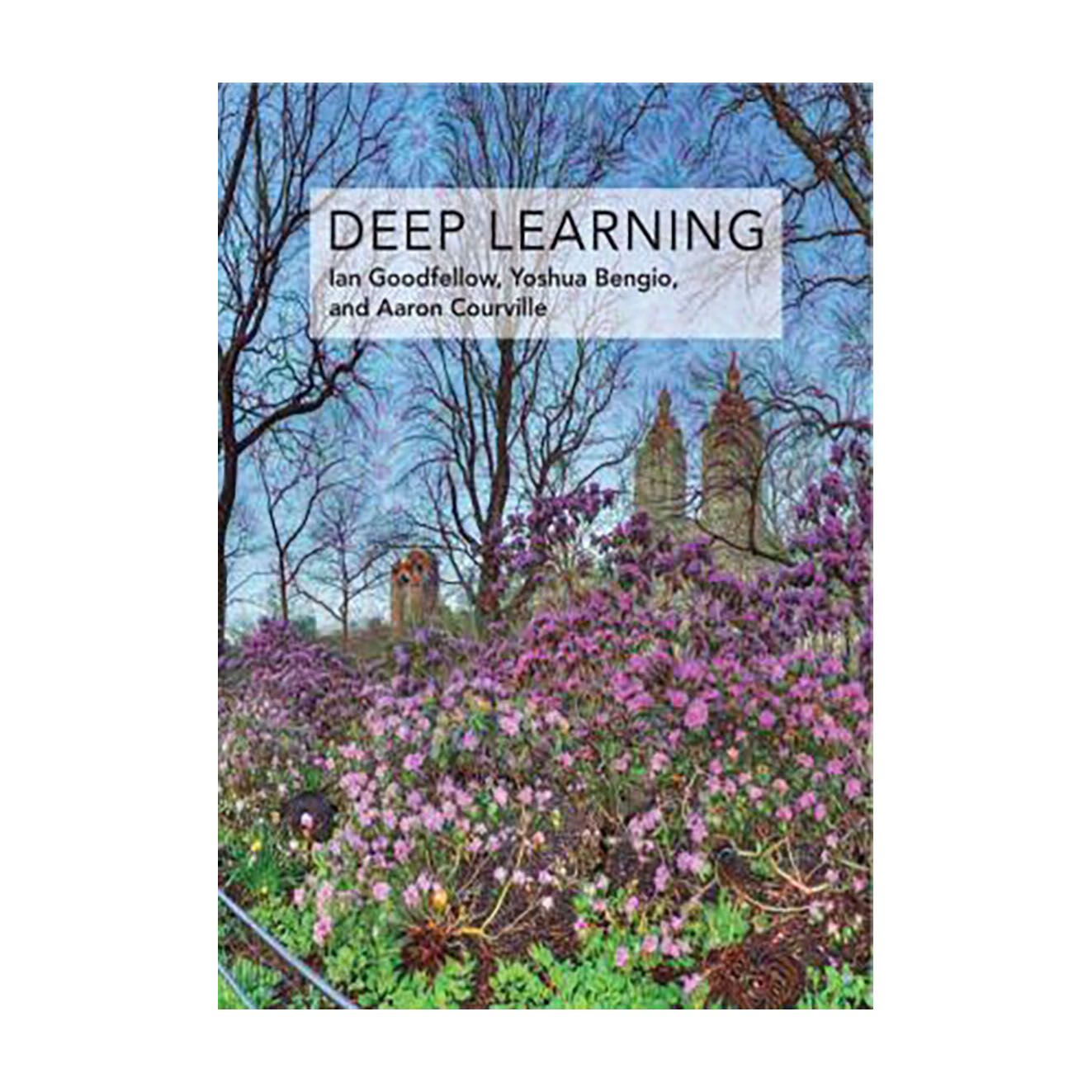 现货英文版纸质书Deep Learnin