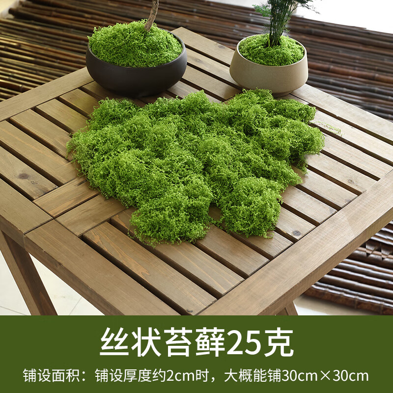 人造假青苔微景观布置摆件草坪盆景盆栽铺面造景 丝状苔藓浅绿色25g