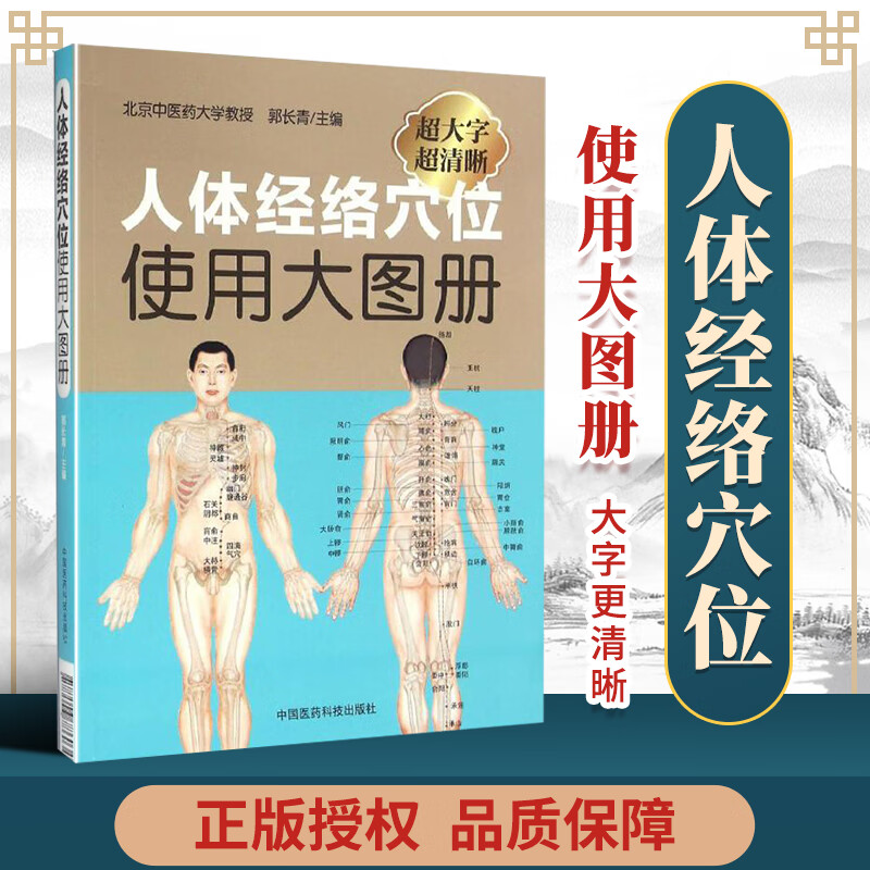 正版 人体经络穴位使用大图册 郭长青 中医经络图解穴位图彩图针灸