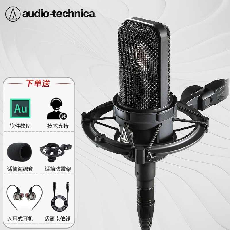 铁三角（Audio-technica） AT4040电容麦克风大振膜话筒直播K歌专业录音设备